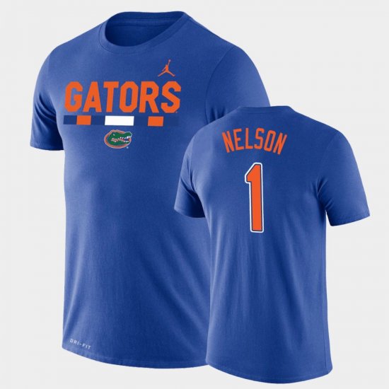 #1 Reggie Nelson Team DNA UF Legend Performance Jordan Brand Men Royal T-Shirt 792117-166